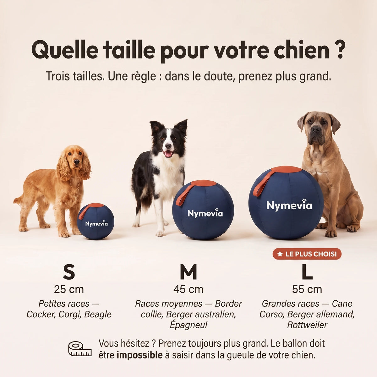 Guide des tailles S 25 cm, M 45 cm, L 55 cm