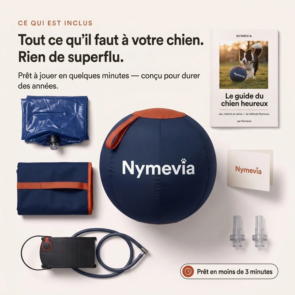 Ce qui est inclus dans le coffret