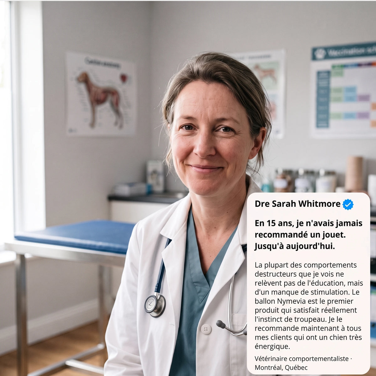 Avis d'une veterinaire comportementaliste